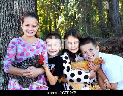 Vier Kinder gruppieren sich um ihre Haustiere, zwei Hühner. Sie umarmen sie und streicheln sie. Lächeln und Stolz bedecken die Gesichter von Kindern. Stockfoto