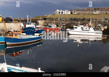 Seahouses Harbour, North Sunderland Harbour, Northumberland, England Stockfoto