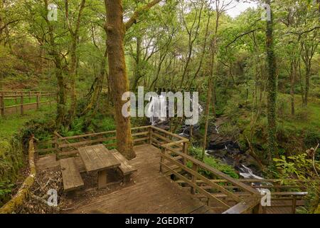 Alte hölzerne Aussichtsplattform auf dem Fluss Arenteiro in Galicien, Spanien mit üppigem Grün Stockfoto