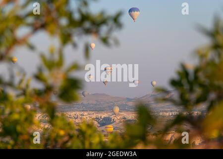 Viele Heißluftballons am Himmel durch Bäume in Kappadokien, Nevsehir, Türkei an einem schönen Sommertag. Weichfokus Stockfoto