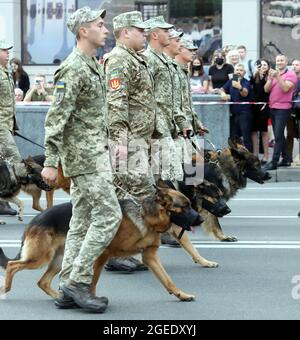Nicht exklusiv: KIEW, UKRAINE - 18. AUGUST 2021 - Soldaten und Militärhunde marschieren während der Probe der Kiew-Unabhängigen auf die Chreschtschatyk-Straße Stockfoto