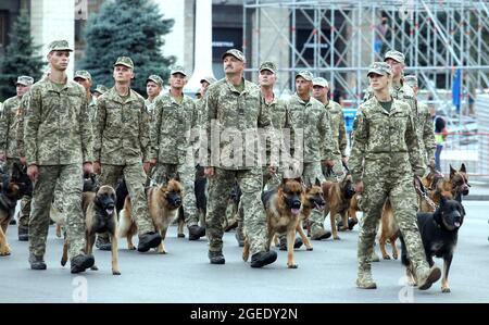 Nicht exklusiv: KIEW, UKRAINE - 18. AUGUST 2021 - Soldaten und Militärhunde marschieren während der Probe der Kiew-Unabhängigen auf die Chreschtschatyk-Straße Stockfoto