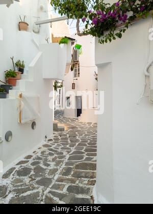 Traditionelle weißgetünchte Steingebäude mit Bougainvillea-Pflanzen in Töpfen auf Steinmauern leeren engen gepflasterten Gasse auf Paros Insel Naousa vil Stockfoto