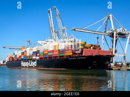 Das Containerschiff Guayaquil Express der Reederei Hapag-Lloyd wird im Hafen von Le Havre, Frankreich, mit Containerbrücken verladen. Stockfoto