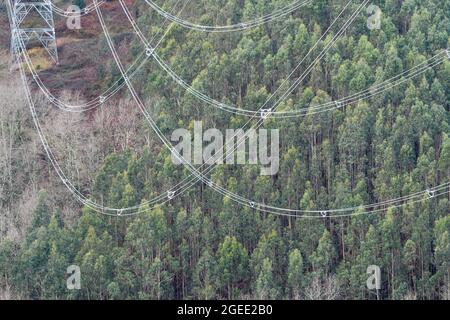 Optische Auswirkungen von Hochspannungsleitungen im Wald Stockfoto