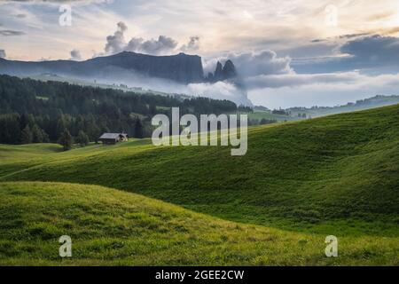 Schlern in der Seiser Alm mit etwas Nebel über Wald. Dolomiten Alpen, Italien Stockfoto