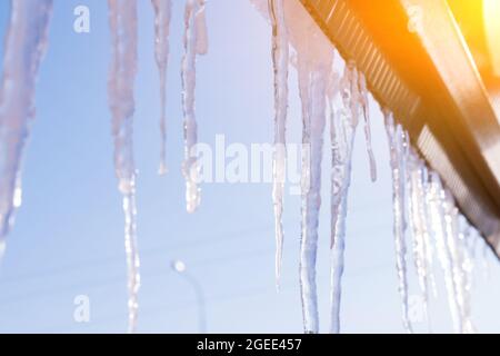 Nach dem eisigen Regen mit Eis und Eiszapfen bedeckt. Frostige Szenen im Winter. Selektiver Fokus Stockfoto