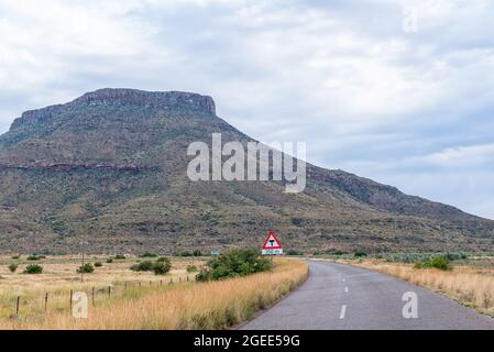 T-Kreuzung Straßenschild an der Kreuzung zwischen der Straße R56 und der Straße zum Ausgang des Orange-Fish River Tunnels bei Teebus bei Steynsburg im Osten Stockfoto