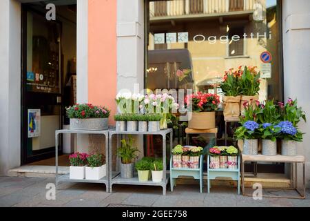 BERGAMO, ITALIEN - APRIL 2019: Bunte Blumen werden in einem kleinen Blumengeschäft in der wunderschönen mittelalterlichen Straße von Bergamo, Lombardei, Italien, verkauft Stockfoto