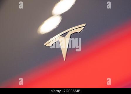 Berlin, Deutschland. August 2021. Auf einem Tesla in einem Tesla-Showroom ist das Logo des Herstellers zu sehen. Quelle: Christophe Gateau/dpa/Alamy Live News Stockfoto