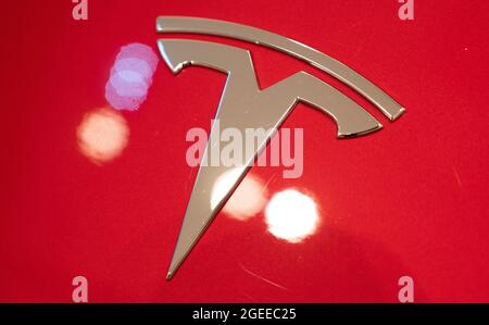 Berlin, Deutschland. August 2021. Auf einem Tesla in einem Tesla-Showroom ist das Logo des Herstellers zu sehen. Quelle: Christophe Gateau/dpa/Alamy Live News Stockfoto