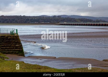 Die Arnside Bore, eine erstaunliche Welle, die stromaufwärts in der Kent Mündung in Cumbria bei den höchsten Frühlingsgezeiten in der Nähe des Arnside Pier fährt Stockfoto