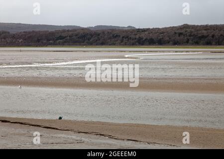 Eine Nahaufnahme der Arnside Bore, einer erstaunlichen Welle, die in der Kent-Mündung in Cumbria bei den höchsten Frühlingsgezeiten flussaufwärts fährt Stockfoto