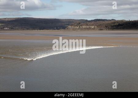 Eine Nahaufnahme der Arnside Bore, einer erstaunlichen Welle, die in der Kent-Mündung in Cumbria bei den höchsten Frühlingsgezeiten flussaufwärts fährt Stockfoto