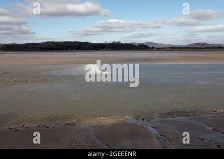 Eine Nahaufnahme der Arnside Bore, einer erstaunlichen Welle, die in der Kent-Mündung in Cumbria bei den höchsten Frühlingsgezeiten flussaufwärts fährt Stockfoto