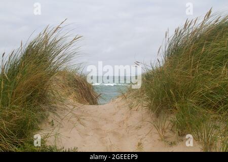 Kleiner Pfad über die Dünen, überwuchert mit Marram Gras, zum Meer Stockfoto