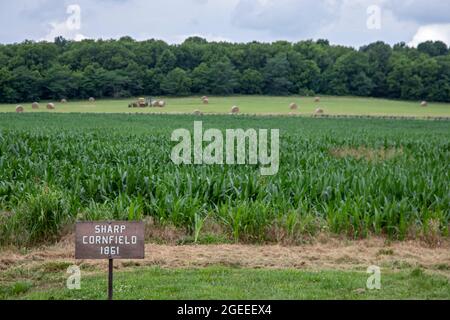 Republic, Missouri - Wilson's Creek National Battlefield, Ort einer Schlacht im amerikanischen Bürgerkrieg von 1861. Stockfoto