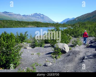 Man wandert den Weg um den Gletschersee, der aus schmelzendem Eis des Worthington Gletschers in Alaska entstand. Er hat eine rote Jacke und einen braunen Hut. Stockfoto