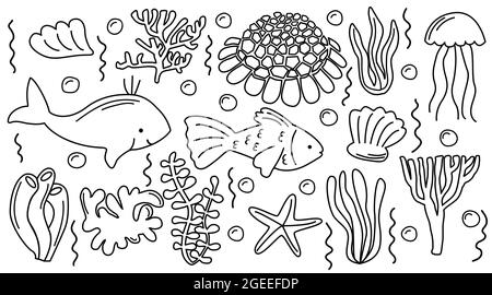 Sea Life Doodle Set. Sammlung von handgezeichneten Illustrationen: Fische, Muscheln, verschiedene Algen, Schindeleigel. Isolierter Vektorsatz Stock Vektor