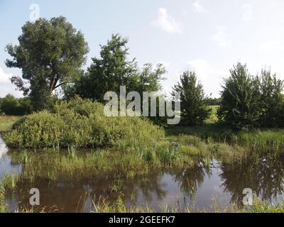 Meteliai Regional Park (Alytus County, Litauen) Stockfoto