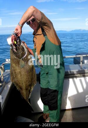 Der Mensch hält einen Heilbutt, den er gefangen hat. Er trägt grüne Overalls und steht in einem Boot, das auf dem Cook Inlet in der Nähe von Anchor Point, Alaska, anfischt. Stockfoto