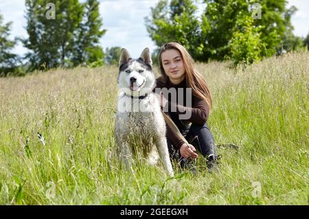 Besitzerin Mädchen spielt mit ihrem sibirischen Husky auf dem Feld. Glücklich lächelnde Frau mit Hund haben eine gute Zeit am Wochenende Aktivität im Freien Stockfoto