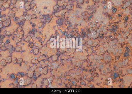 Old Rusty Metal Textur - perfekt für den Hintergrund Stockfoto