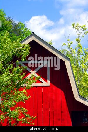 Holzscheune, rot mit weißen Zierleisten gestrichen, ist ordentlich und gepflegt. Blauer Himmel und grüne Bäume umrahmen die Ecke der Scheune. Stockfoto