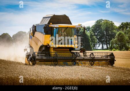 Mähdrescher, die auf dem Feld in der Nähe von Cupar, Fife, Schottland, Großbritannien, arbeiten. Stockfoto