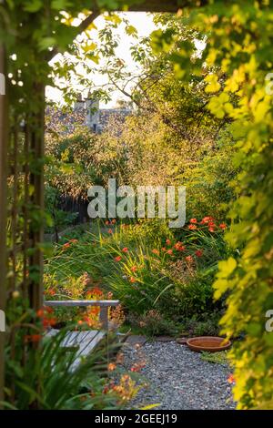 Gartensitzbereich für die späte Nachmittag- und Abendsonne - hintergrundbeleuchteter Stipa-Gigantea, Krokosmie und goldener Hopfen, der über einem Holzbogen wächst - Großbritannien Stockfoto