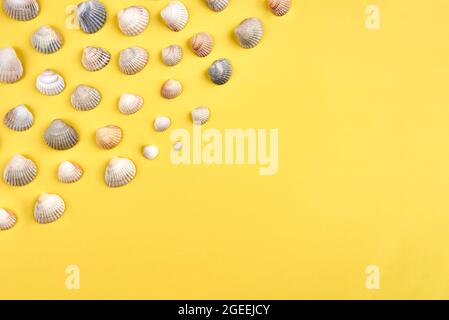 Muschelschalen auf hellgelbem Hintergrund, Sommerkonzept, Kopierraum. Stockfoto