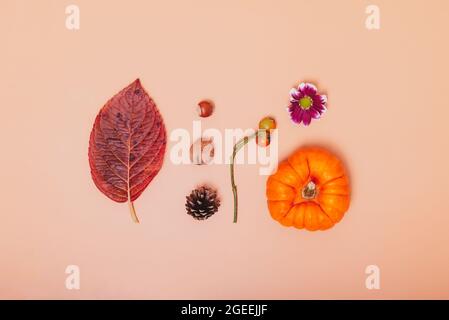 Minimalistische Herbstkomposition. Mini-Kürbis, gefallenes Blatt, Nüsse, Kegel, Chrysanthemenblume und Hagebutten auf neutralem orangefarbenem Hintergrund. Herbst Stockfoto