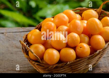 Brasilianische Frucht caja im Strohkorb. Stockfoto