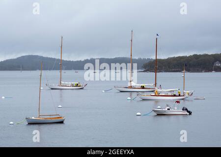 Segelboote vertäuten im Hafen Stockfoto