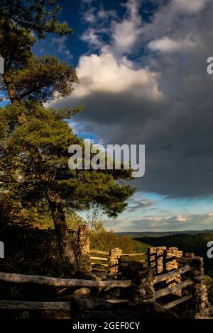 Bank bei Coopers Rocks Stockfoto