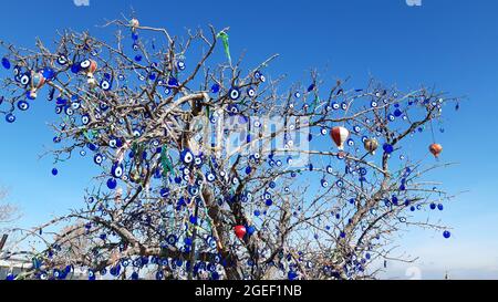 Niedriger Winkel eines trockenen Baumes mit bösen Augenperlen mit klarem blauen Himmel im Hintergrund, Kappadokien hing Stockfoto