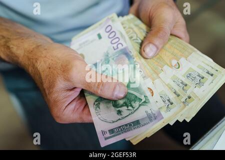 Draufsicht Nahaufnahme eines unbekannten kaukasischen Mannes, der serbische Dinar-RSD-Banknoten hält und zählt Stockfoto