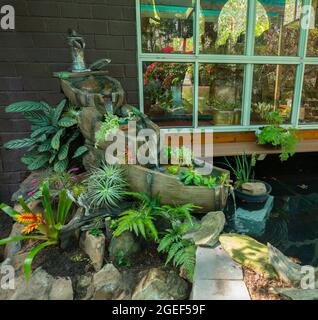 Dekoratives Gartenwasser, Wasserfall mit Wasser, das über alte Holzfässer auf einem Steingarten mit Farnen und Bromelien in Australien rieselt Stockfoto