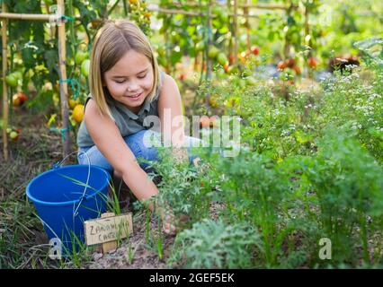 Mädchen mit Häcksler entfernt Unkraut aus der Nähe von Gartenbeeten Stockfoto