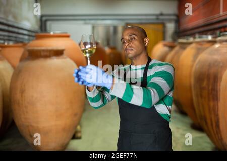 Hispanischer Winzer bei der Weinprobe in der Kellerei Stockfoto