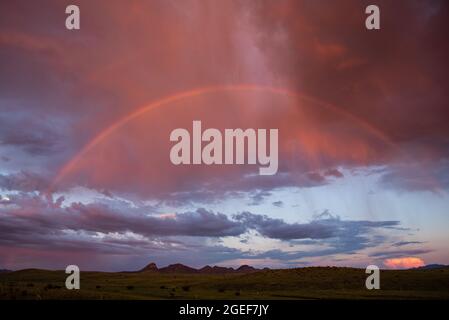 Regenbogen über dem Wüstengras Stockfoto