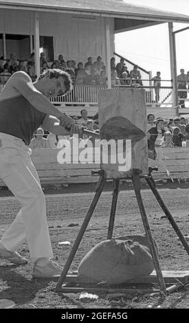 GATTON, QUEENSLAND, AUSTRALIEN, 1984. MAI: Ein nicht identifizierter Mann greift seinen Block beim Holzhacken-Event auf der jährlichen Gatton A und P Show, 1984, an. Gescannt von Originalnegativen für die Zeitungsveröffentlichung. Stockfoto