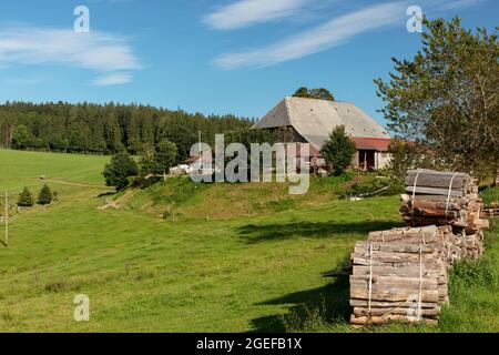 Typischer Schwarzwaldhof, Vorderwilmenhof, St.Peter, Schwarzwald, Baden-Württemberg, Deutschland Stockfoto