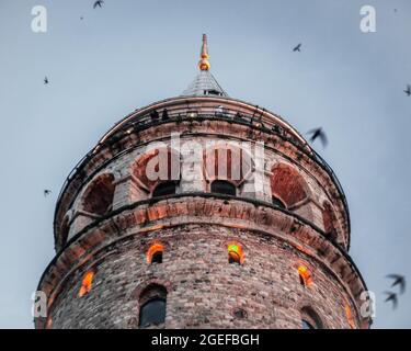 Low-Angle-Aufnahme des Galata-Turms mit Vögeln, die in Istanbul, Türkei, umherfliegen Stockfoto