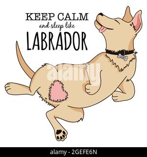 Bleiben Sie ruhig und schlafen Sie wie labrador. Entzückende Cartoon Hund Illustration. Niedlich schlafender Welpe Skizze für Aufkleber, Druck auf T-Shirt, Tasse, Poster, Hintergrund, Tapete, Dekoration. Premium-Vektor Stock Vektor