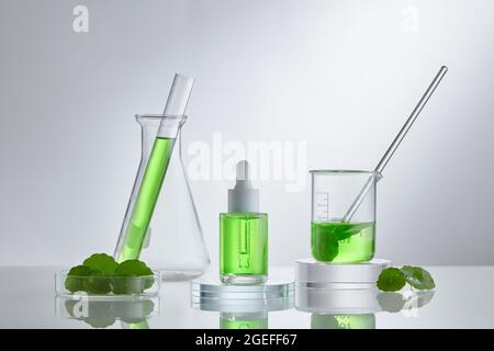 Wissenschaftliches Experiment mit Centella asiatica Extrakt. Leeres Podium-Glas für kosmetische Flaschenbehälter. Stockfoto