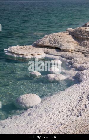 Salzschornsteine bilden sich an der Küste des Toten Meeres. Sie bilden sich dort, wo Süßwasser in das Salzwasser des Sees fließt und bei sinkenden Wasserständen ausgesetzt wird, Israel Stockfoto