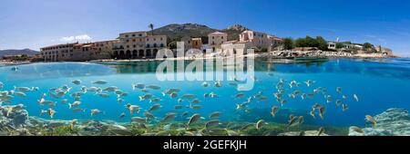 FRANKREICH. HAUTE-CORSE (2B) REGION BALAGNE. ALGAJOLA BLICK VOM MEER Stockfoto