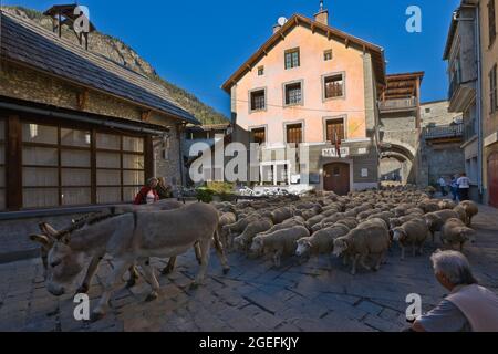 FRANKREICH. ALPES-DE-HAUTE-PROVENCE (04) COLMARS LES ALPES Stockfoto