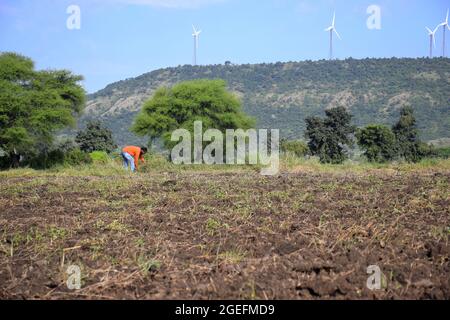 indische Farmer reinigen das Feld vor der Aussaat. Bäume, Berge und Himmel Stockfoto